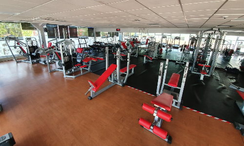 SALA DE MUSCULACION