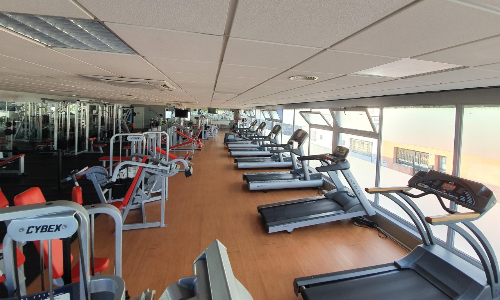 SALA DE MUSCULACION