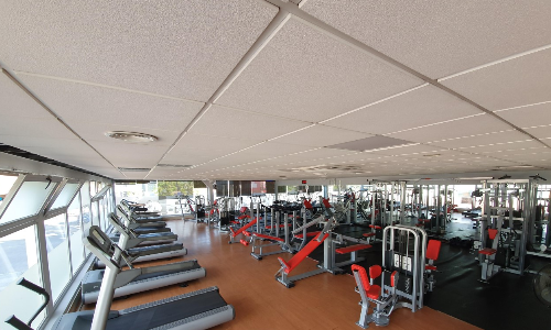 SALA DE MUSCULACION